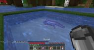 Axolotl can be captured with a bucket (Image via Minecraft)
